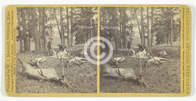 Successful Hunters dressing Elk, 1876. Creator: William I. Marshall.