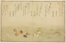 Sudare-gai, hana-gai, sakura-gai, mumeno-gai, nadeshiko-gai, and kinuta-gai, from the illu..., 1789. Creator: Kitagawa Utamaro