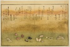 Sudare-gai, hana-gai, sakura-gai, mumeno-gai, nadeshiko-gai, and kinuta-gai, from the illu..., 1789. Creator: Kitagawa Utamaro