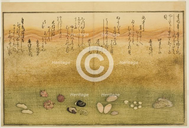 Sudare-gai, hana-gai, sakura-gai, mumeno-gai, nadeshiko-gai, and kinuta-gai, from the illu..., 1789. Creator: Kitagawa Utamaro.