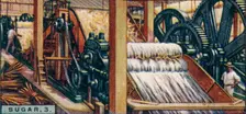 Sugar, 3. Crushing the Canes, Java 1928