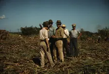 Sugar cane workers resting, Rio Piedras, Puerto Rico, 1941. Creator: Jack Delano