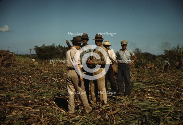 Sugar cane workers resting, Rio Piedras, Puerto Rico, 1941. Creator: Jack Delano.