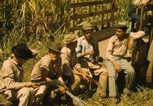 Sugar cane workers resting, Rio Piedras, Puerto Rico, 1941. Creator: Jack Delano