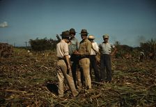 Sugar cane workers resting, Rio Piedras, Puerto Rico, 1941. Creator: Jack Delano