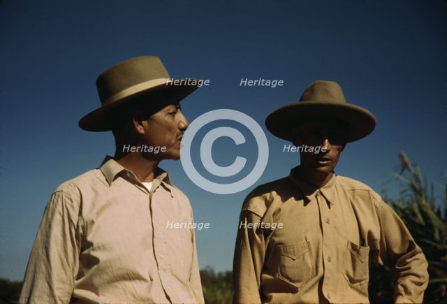 Sugar cane workers, vicinity of Rio Piedras, Puerto Rico, 1941. Creator: Jack Delano.