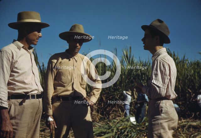 Sugar cane workers, vicinity of Rio Piedras, Puerto Rico, 1941. Creator: Jack Delano.