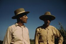 Sugar cane workers, vicinity of Rio Piedras, Puerto Rico, 1941. Creator: Jack Delano