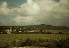 Sugar cane country, the Virgin Islands, 1941. Creator: Jack Delano