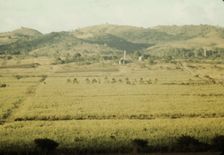 Sugar cane fields on the north-west part of the island, St. Croix island, Virgin Islands, 1941. Creator: Jack Delano