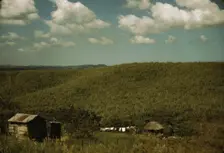 Sugar cane land, vicinity of Rio Piedras, Puerto Rico, 1941. Creator: Jack Delano