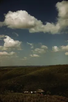 Sugar cane land, vicinity of Rio Piedras, Puerto Rico, 1941. Creator: Jack Delano