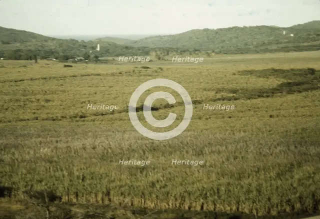 Sugar cane land, Yabucoa Valley? Puerto Rico, 1941. Creator: Jack Delano.