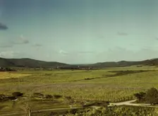 Sugar cane land, Yabucoa Valley? Puerto Rico, 1941. Creator: Jack Delano
