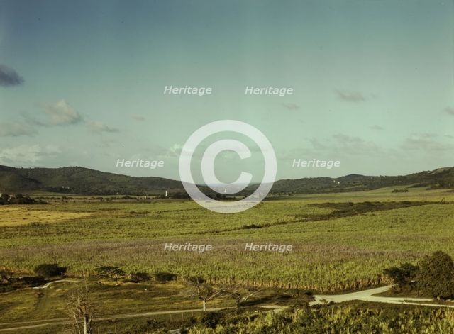 Sugar cane land, Yabucoa Valley? Puerto Rico, 1941. Creator: Jack Delano.