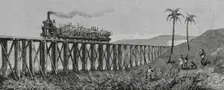 Sugar cane production, Mackay, Eastern coast of Queensland, Australia, 1883. Creator: Unknown