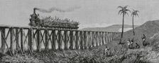 Sugar cane production, Mackay, Eastern coast of Queensland, Australia, 1883. Creator: Unknown