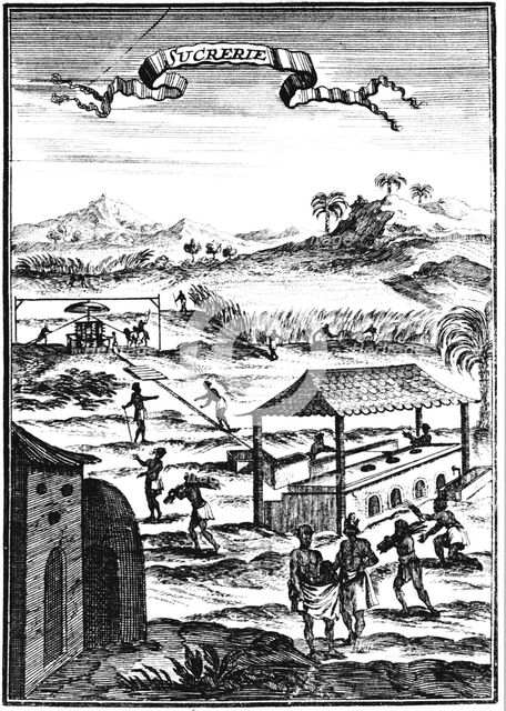 Sugar factory and plantation in the West Indies, 1686. Artist: Allain Manesson Mallet