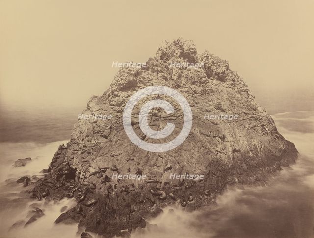 Sugar Loaf Island, Farallons, 1868/1869. Creator: Carleton Emmons Watkins.