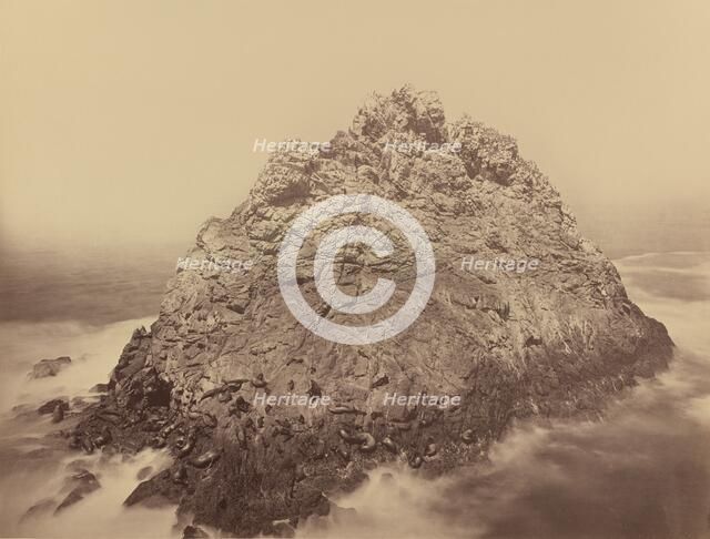 Sugar Loaf Island, Farallons, 1868/1869. Creator: Carleton Emmons Watkins.