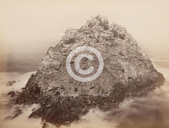 Sugar Loaf Islands, Farallons, 1868-69. Creator: Carleton Emmons Watkins.