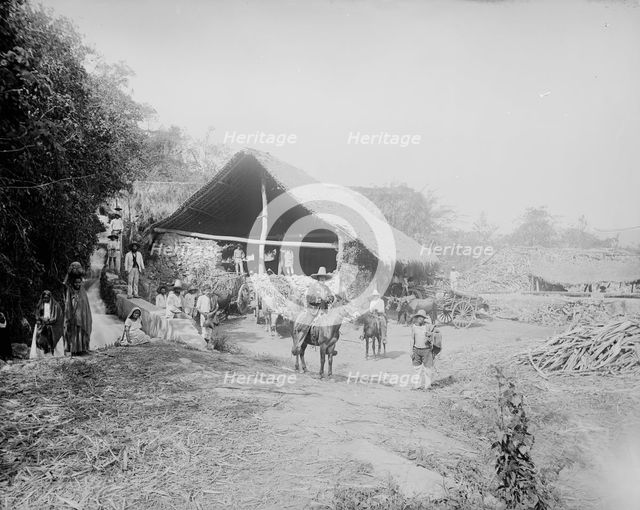 Sugar mill at Temasopa [sic], between 1880 and 1897. Creator: William H. Jackson.