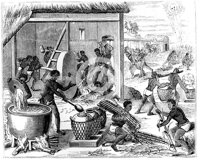 Sugar production, 1873.  Creator: Unknown.
