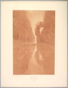 Suite de Paysages: Landscape, Plate 2, Remarque, Starflowers, 1892-1893. Creator: Charles Marie Dulac (French, 1865-1898); Printer: Bellefond (per colophon)