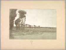 Suite de Paysages: Landscape, Plate 5, Remarque, Three Stalks of Wheat, 1892-1893. Creator: Charles Marie Dulac (French, 1865-1898); Printer: Belfond, Imprimeur Belfond (per colophon)
