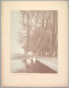 Suite de Paysages: Landscape, Plate 6, Remarque, Lilies, 1892-1893. Creator: Charles Marie Dulac (French, 1865-1898); Printer: Lemercier, Imprimeur Lemercier