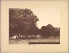 Suite de Paysages: Landscape, Plate 7, Remarque, Poppies, 1892-1893. Creator: Charles Marie Dulac (French, 1865-1898); Printed by Monrocq Frères, Paris