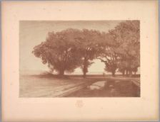 Suite de Paysages: Landscape, Plate 8, Remarque, Pansies, 1892-1893. Creator: Charles Marie Dulac (French, 1865-1898); Printed by Monrocq Frères, Paris