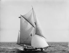 Sultan, 1899 July 29. Creator: John S Johnston