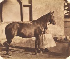 Sultan, mid-1850s. Creator: Mervyn Herbert Nevil Story-Maskelyne