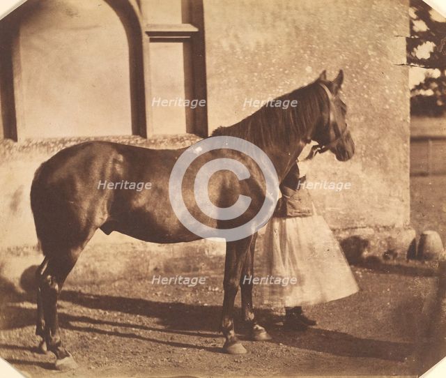 Sultan, mid-1850s. Creator: Mervyn Herbert Nevil Story-Maskelyne.