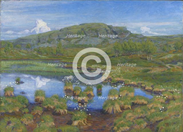 Summer, 1904. Creator: Wilhelm Wetlesen.