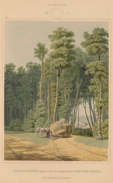 Summer--A Road Accident. A glimpse thro an opening of the Primitive Forest... 1841. Creator: William James Bennett