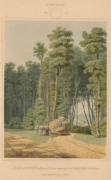 Summer--A Road Accident. A glimpse thro an opening of the Primitive Forest... 1841. Creator: William James Bennett