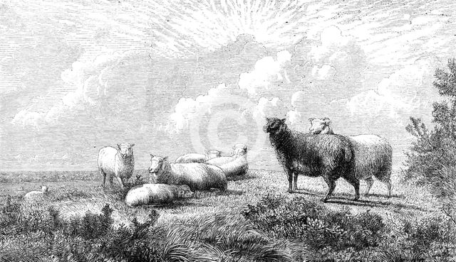 "Summer," by T. W. Keyl, in the exhibition of the British Institution, 1864.  Creator: Pearson.