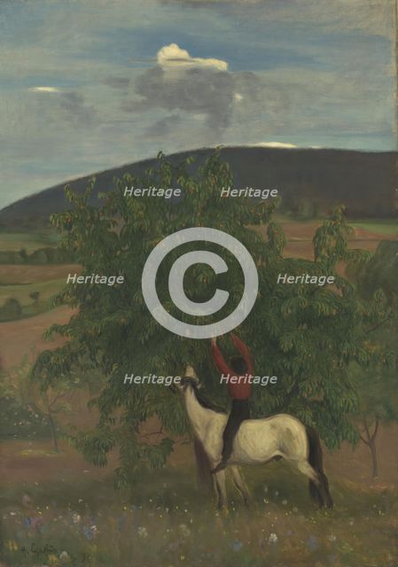 Summer, Bo in Telemark, 1896. Creator: Halfdan Egedius.