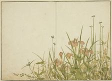 Summer Flowers: Irises and Water Plantains, from the book "Mirror of Beautiful Women..., 1776. Creator: Shunsho