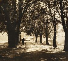 Summer lunchtime. Creator: John Johnson