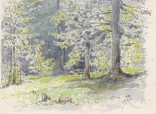 Summer landscape, 1896. Creator: Friedrich Carl von Scheidlin