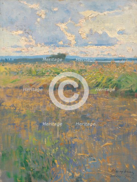 Summer landscape, 1900. Creator: Ferenc Olgyay.
