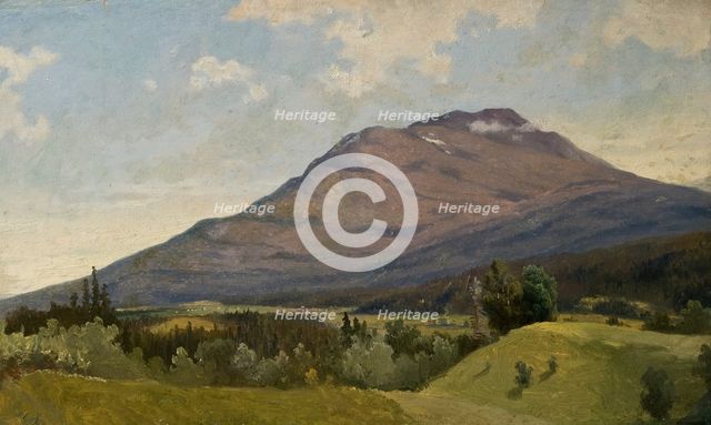 Summer Landscape with Mountain, 1850s. Creator: Gustav Wilhelm Palm.