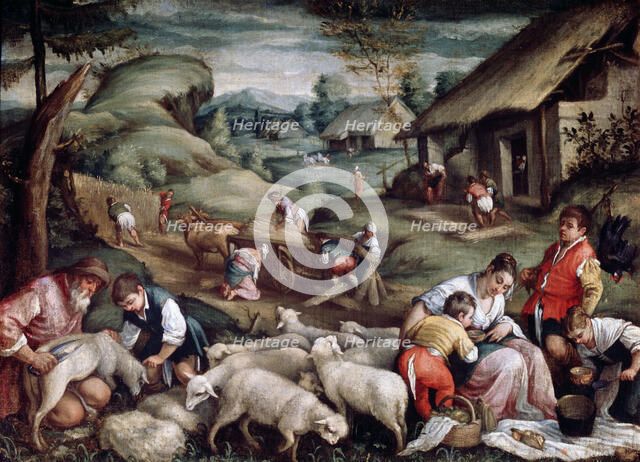 'Summer. Sheep Shearing', c1570-c1580. Artist: Francesco Bassano II