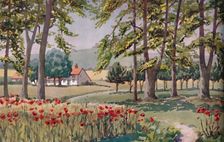 Summer - The Physical, Chemical and Biological Changes Wrought By The Sun During The Year 1935