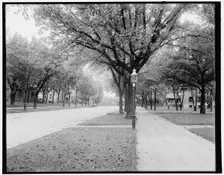 Summit Ave., St. Paul, Minn., c1902. Creator: William H. Jackson