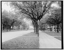 Summit Ave., St. Paul, Minn., c1902. Creator: William H. Jackson