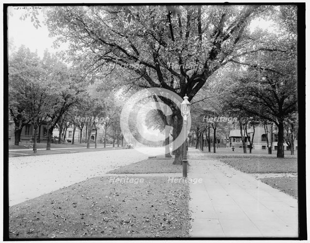 Summit Ave., St. Paul, Minn., c1902. Creator: William H. Jackson.